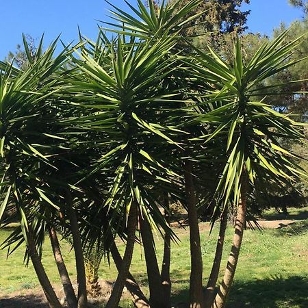 Casa Natura Αμμουλιανή Εξωτερικό φωτογραφία