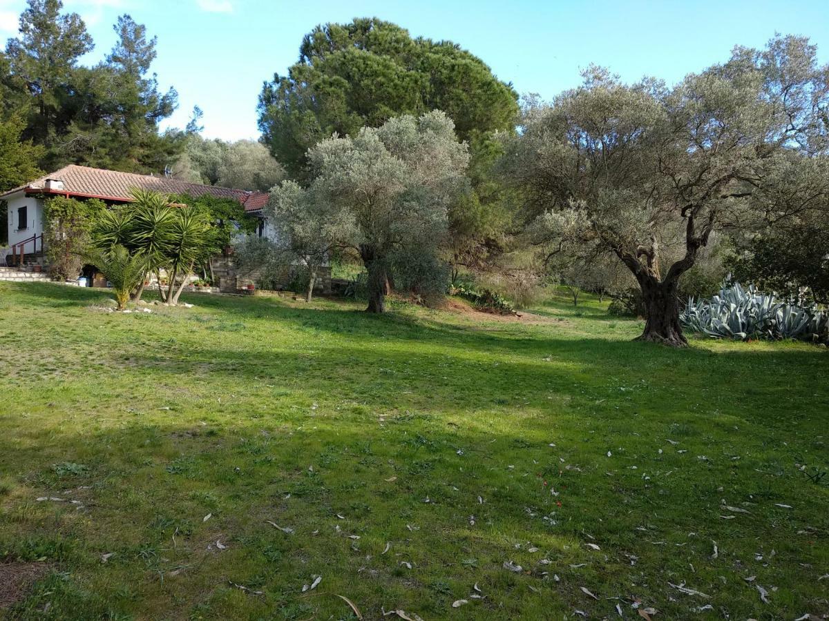 Casa Natura Αμμουλιανή Εξωτερικό φωτογραφία